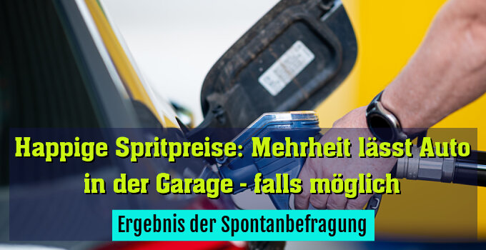Ergebnis der Spontanbefragung