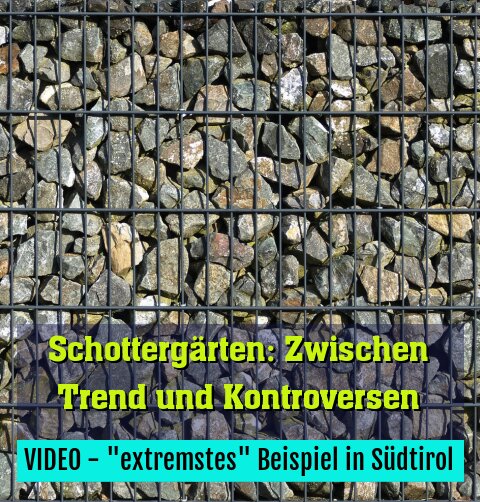 VIDEO - "extremstes" Beispiel in Südtirol