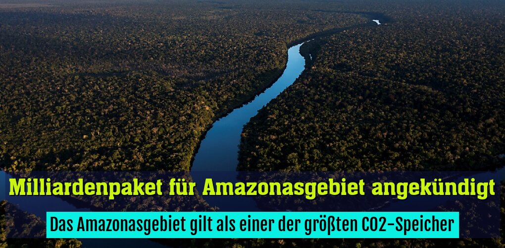 Das Amazonasgebiet gilt als einer der größten CO2-Speicher