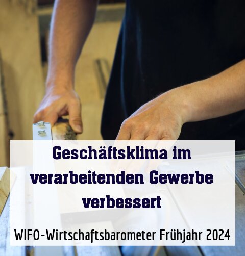 WIFO-Wirtschaftsbarometer Frühjahr 2024