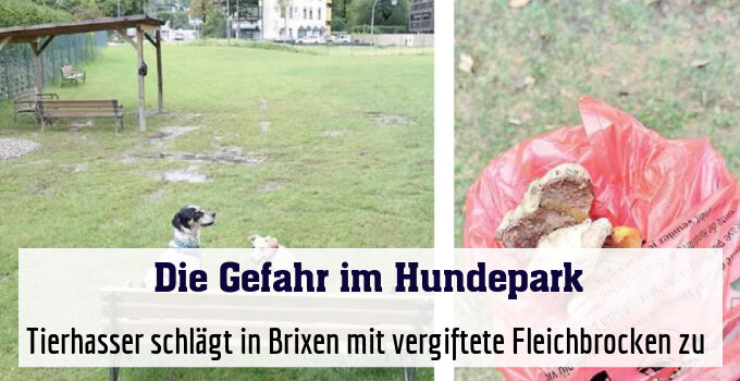 Tierhasser schlägt in Brixen mit vergiftete Fleichbrocken zu 