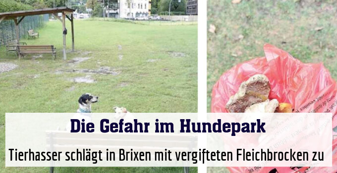 Tierhasser schlägt in Brixen mit vergifteten Fleichbrocken zu 