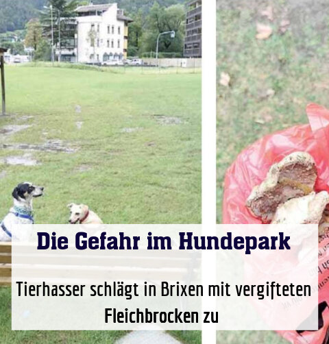 Tierhasser schlägt in Brixen mit vergifteten Fleichbrocken zu 