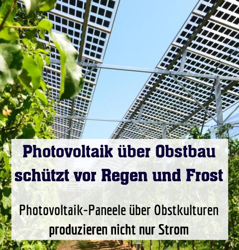 Photovoltaik-Paneele über Obstkulturen produzieren nicht nur Strom