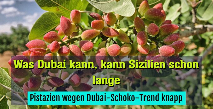 Pistazien wegen Dubai-Schoko-Trend knapp