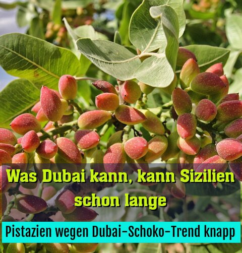 Pistazien wegen Dubai-Schoko-Trend knapp