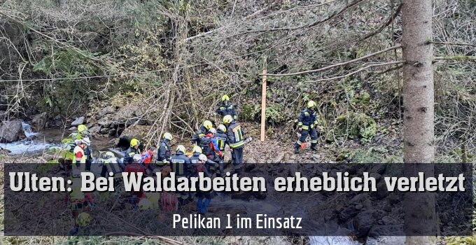 Pelikan 1 im Einsatz