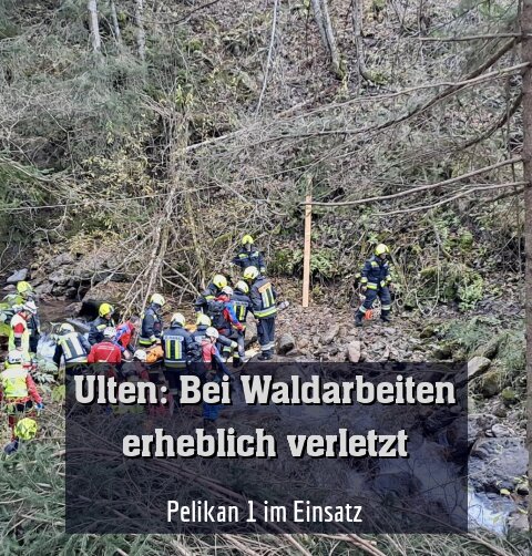 Pelikan 1 im Einsatz