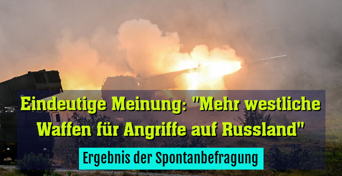 Ergebnis der Spontanbefragung