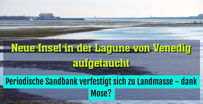 Periodische Sandbank verfestigt sich zu Landmasse - dank Mose?