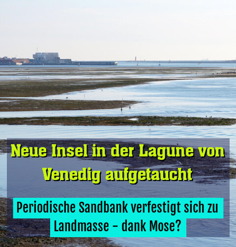 Periodische Sandbank verfestigt sich zu Landmasse - dank Mose?