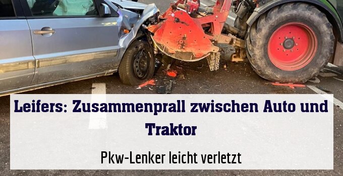 Pkw-Lenker leicht verletzt