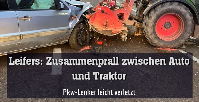 Pkw-Lenker leicht verletzt