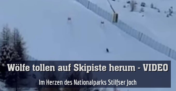 Im Herzen des Nationalparks Stilfser Joch