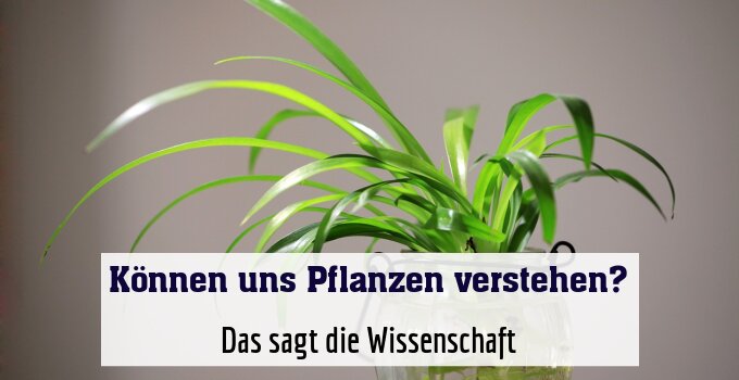 Das sagt die Wissenschaft