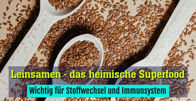 Wichtig für Stoffwechsel und Immunsystem