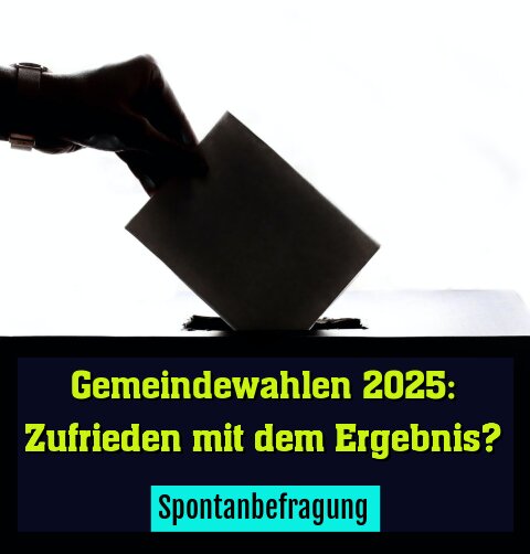 Spontanbefragung