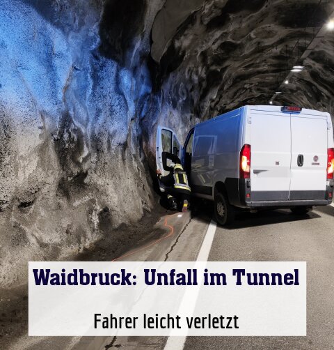 Fahrer leicht verletzt