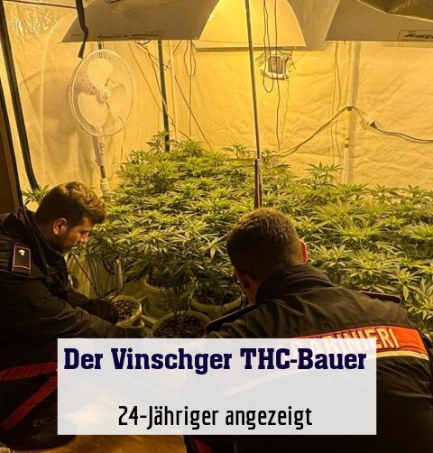 24-Jähriger angezeigt