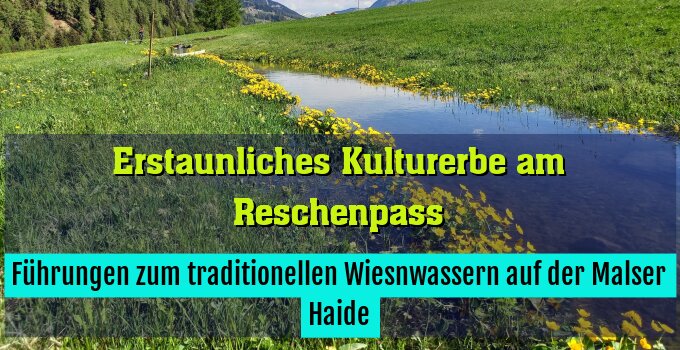 Führungen zum traditionellen Wiesnwassern auf der Malser Haide