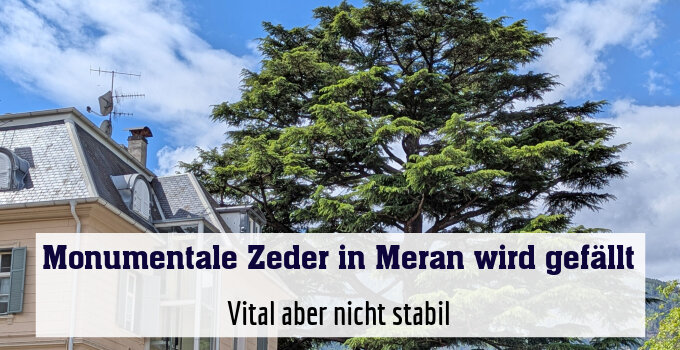 Vital aber nicht stabil