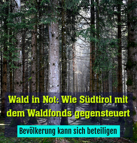 Bevölkerung kann sich beteiligen