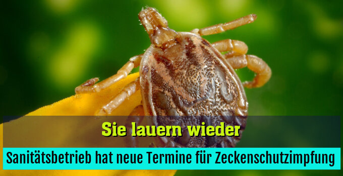 Sanitätsbetrieb hat neue Termine für Zeckenschutzimpfung