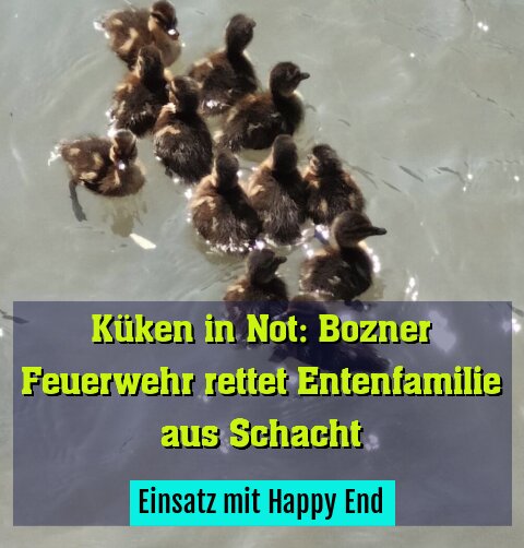 Einsatz mit Happy End