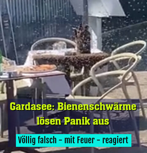 Völlig falsch - mit Feuer - reagiert