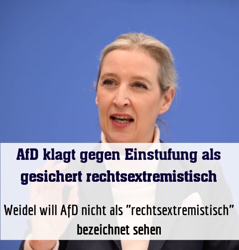 Weidel will AfD nicht als "rechtsextremistisch" bezeichnet sehen