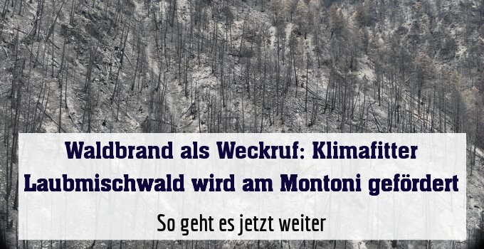So geht es jetzt weiter