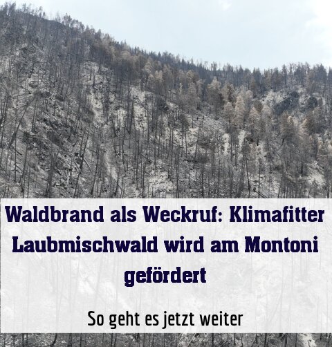So geht es jetzt weiter