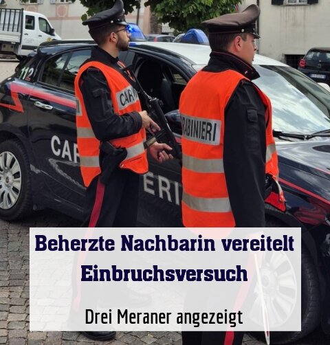 Drei Meraner angezeigt