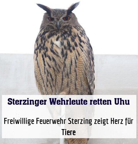 Freiwillige Feuerwehr Sterzing zeigt Herz für Tiere