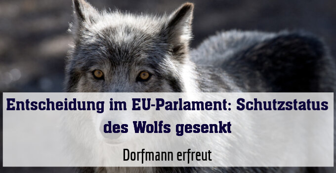 Dorfmann erfreut