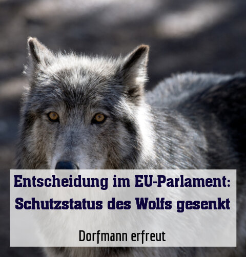 Dorfmann erfreut
