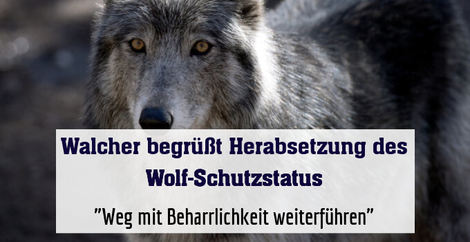 "Weg mit Beharrlichkeit weiterführen"