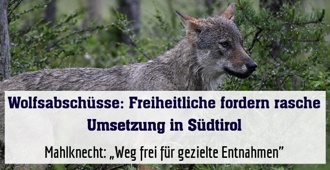 Mahlknecht: „Weg frei für gezielte Entnahmen"