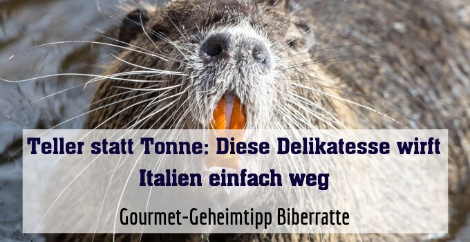 Gourmet-Geheimtipp Biberratte
