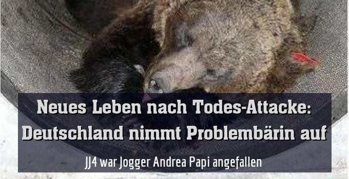 JJ4 war Jogger Andrea Papi angefallen