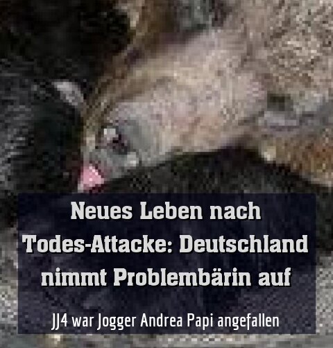 JJ4 war Jogger Andrea Papi angefallen