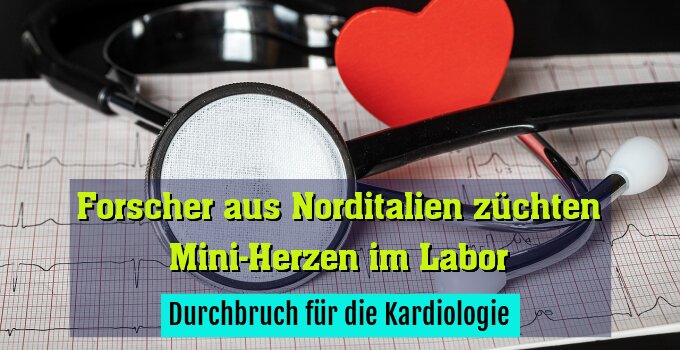 Durchbruch für die Kardiologie