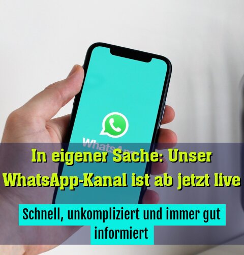 Schnell, unkompliziert und immer gut informiert