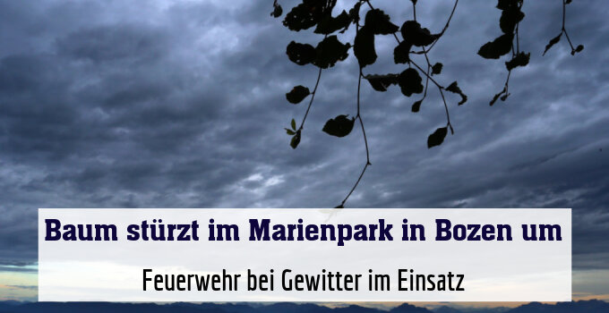 Feuerwehr bei Gewitter im Einsatz