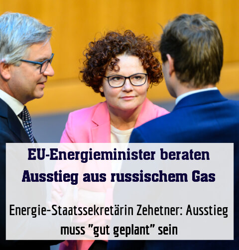 Energie-Staatssekretärin Zehetner: Ausstieg muss "gut geplant" sein