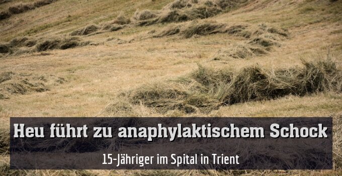 15-Jähriger im Spital in Trient