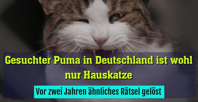 Vor zwei Jahren ähnliches Rätsel gelöst