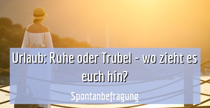 Spontanbefragung
