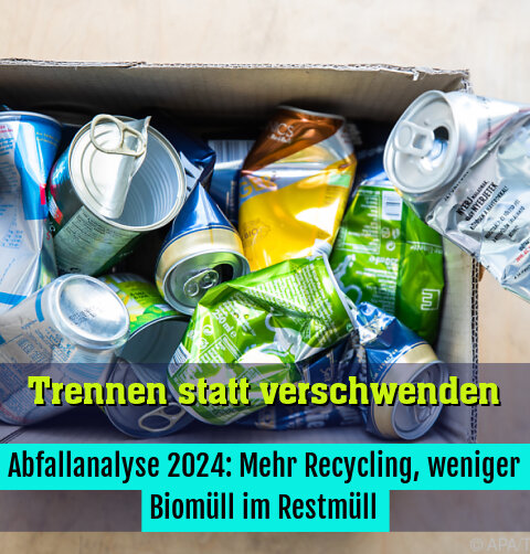 Abfallanalyse 2024: Mehr Recycling, weniger Biomüll im Restmüll