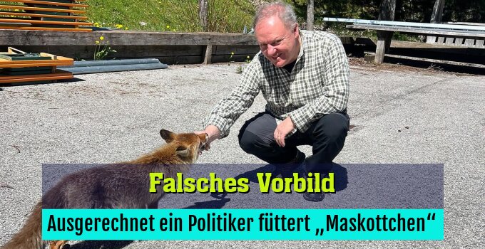 Ausgerechnet ein Politiker füttert „Maskottchen“